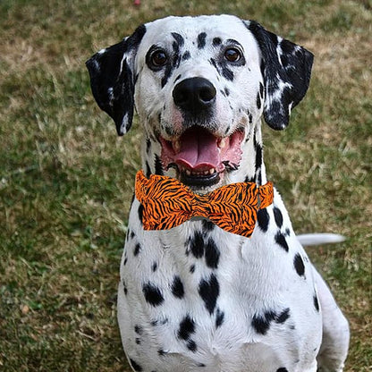 Elegant little tail Dog Collar, Tiger Print Pet Collar Fashion Boy Dog Collars - Image 6