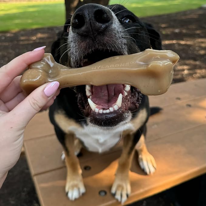 Nylabone Gourmet Style Strong Chew Toy Bundle, Toys - Image 2