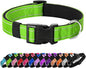 Reflective Dog Collar Padded by Penseepet