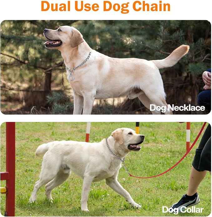 TagME Chain Choke Collar for Dogs, Adjustable Weather Proof Necklace for Extra - Image 3