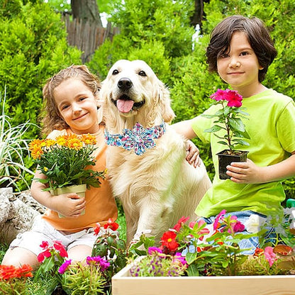 Lionheart Glory Floral Dog Collar - Image 3