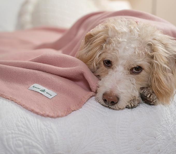 Fleece Throw Blankets Bulk Fleece Blankets Solid Wholesale Lightweight Warm Soft - Image 7