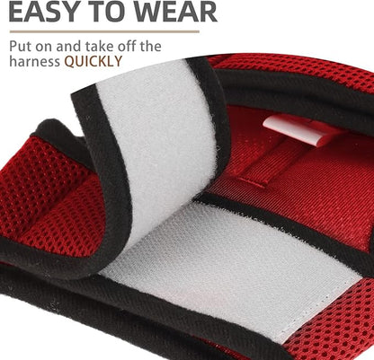 PUPTECK Soft Mesh Cat Vest Harness and Leash Set Puppy Padded Pet Harnesses - Image 5