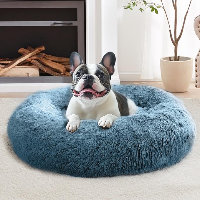 JOLLYVOGUE Calming Dog Bed Medium Size Dog, Anti-Anxiety Donut Medium Pet Bed by JOLLYVOGUE