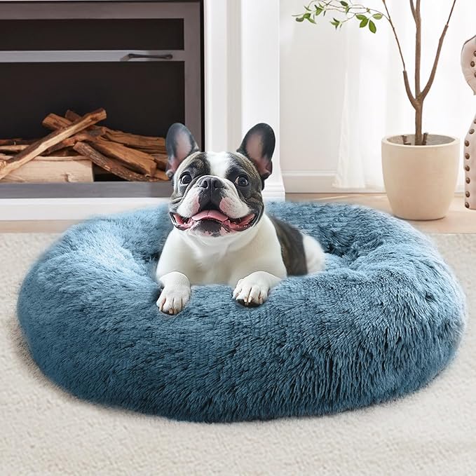 JOLLYVOGUE Calming Dog Bed for Small Dogs by JOLLYVOGUE