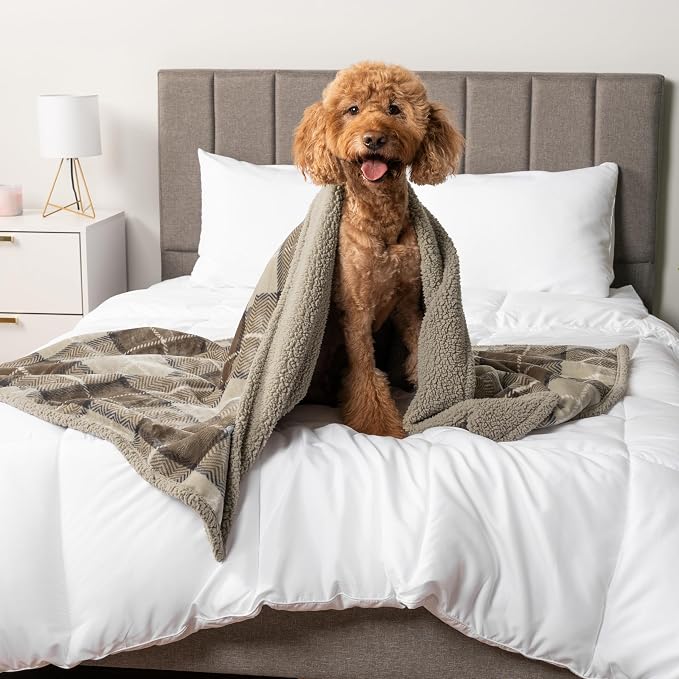 PetAmi Waterproof Dog Blanket for Medium Large XL Dog Puppy Cat Throw for Couch - Image 7