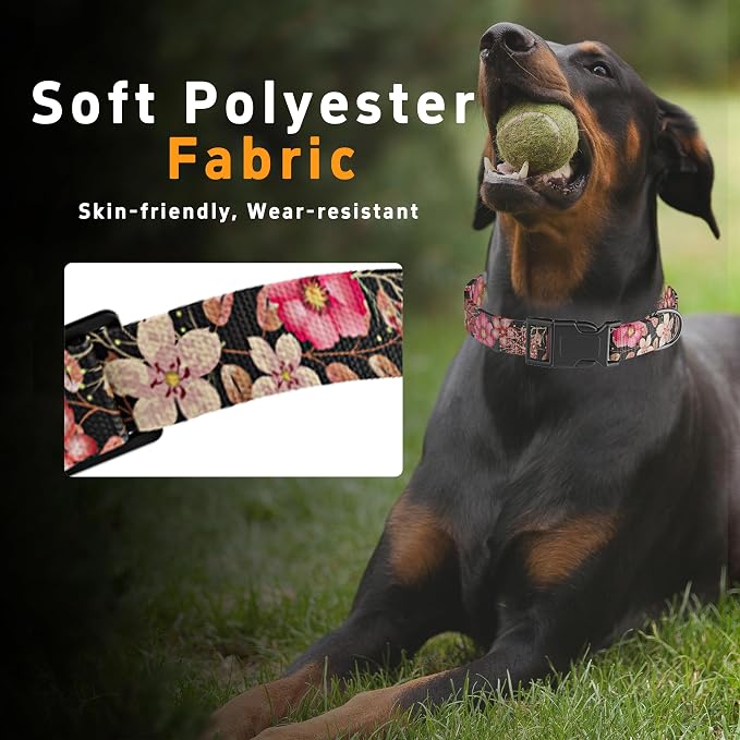 Dog Collar for Boys & Girls, Puppy Collar for Small to Large Dogs, Adjustable - Image 4