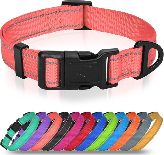 Joytale Small Dog Collar, Reflective and Adjustable Nylon Collar by Joytale