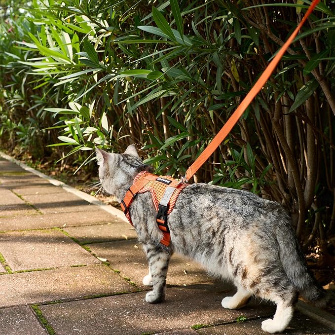Cat Harness and Leash Escape Proof Extra Large Kitten Harness Maine Coon Cat - Image 3