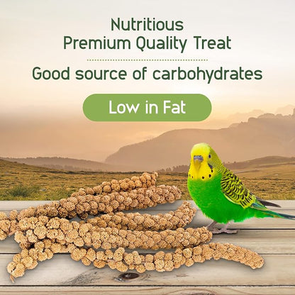 Living World – Millet Spray for Birds, 17.6 Oz – Premium Treat for Budgies - Image 4