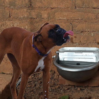 Automatic Dog Water Bowl Dispenser Large Size Pet Waterer Feeder - Image 7