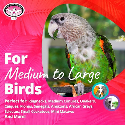 Super Bird Creations - Image 3