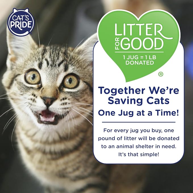 Cat's Pride Lightweight Clumping Litter: Natural - Image 7