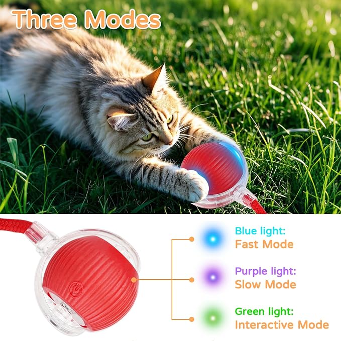 2025 New 3Pack Cat Ball Kitten Toys - Image 5