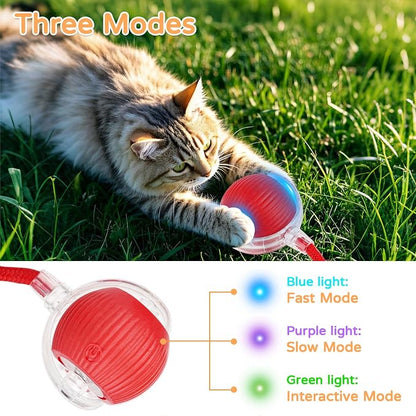 2025 New 3Pack Cat Ball Kitten Toys - Image 5