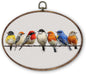 DILSJ Bird Oval Wall Art Decor, Rustic Nature Colorful Sparrow Birds Canvas by DILSJ