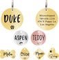 Ultra Joys Custom Personalized Pet ID Tag by UltraJoys