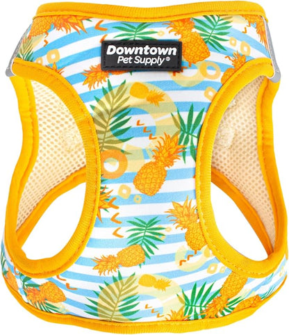 Downtown Pet Supply Step-in Dog Harness – No Pull, Adjustable Padded Mesh by DowntownPetSupply