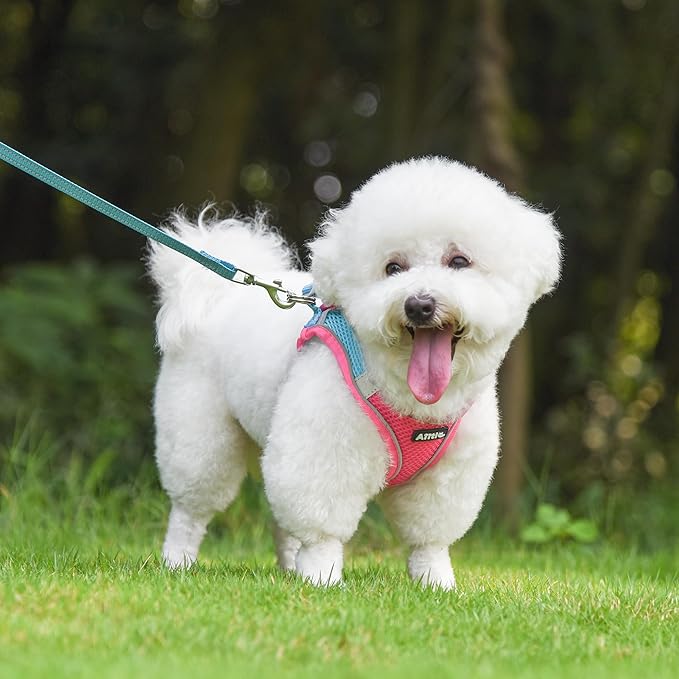 AIITLE Easy Walk Dog Harness and Leash Set - Image 8