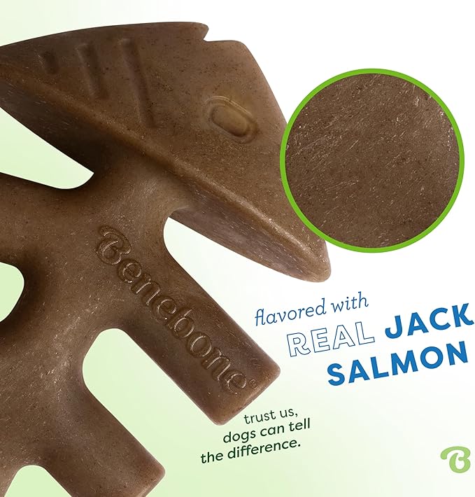 Benebone Tiny 2-Pack Fishbone Durable Dog Chew Toys, Real Fish Flavor, Made in - Image 2