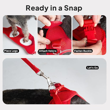 PetiFine Step in Small Dog Harness and Leash Set, Breathable All Weather Air - Image 9