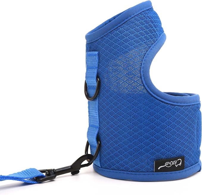 Kitty Harness and Leash for Walking Escape Proof Breathable Mesh Fabric - Image 8