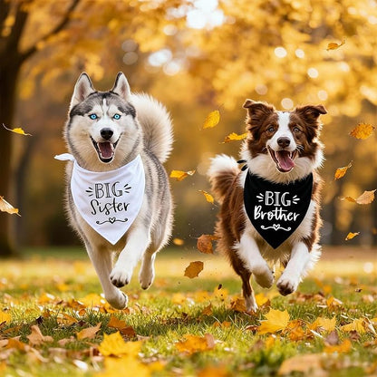 2 Pack Dog Bandanas for Pregnancy Announcement, Cute Adjustable Pet Bandana - Image 6