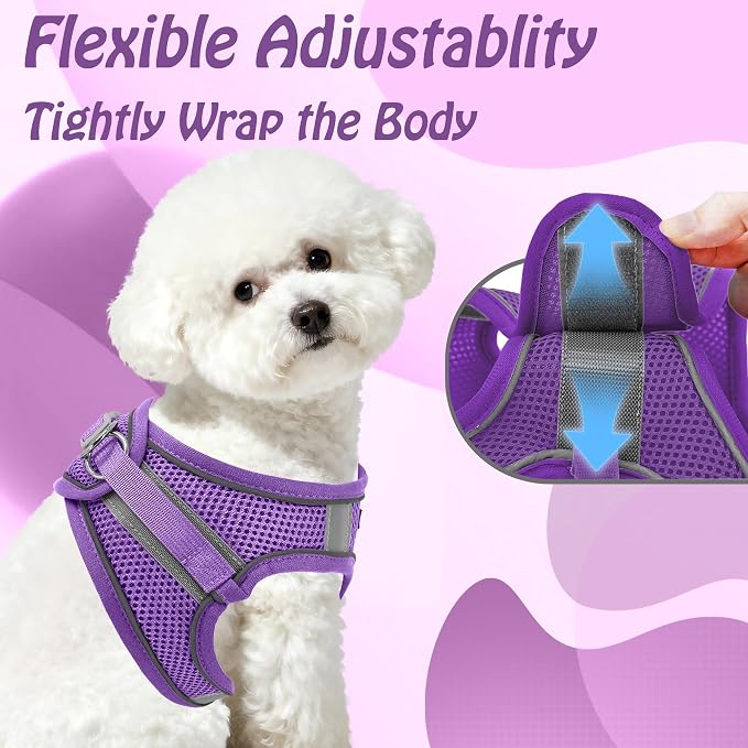 AIITLE Comfortable Dog Harness and Leash Set - Image 3