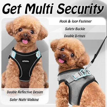 AIITLE Dog Harness, No-Pull Cat Harness - Image 5