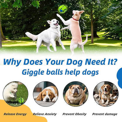 Dog Toys Ball, Interactive Dog Ball, Shaking - Image 6
