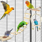 5in1 Bird Perch Ladder with Swing, Natural Wood Parrot Perches Platform with by DBNESS