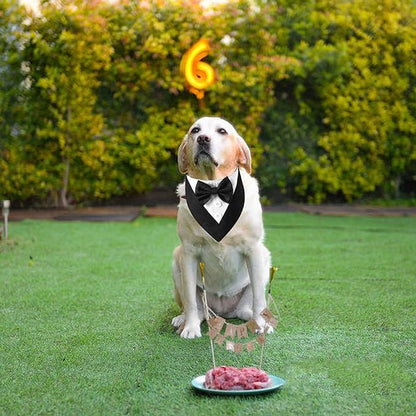 ADOGGYGO Formal Dog Tuxedo, Wedding Dog Bandana Collar - Image 4