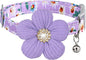 Large Dog Collar with Flower, Dog Collars by COZIRAE