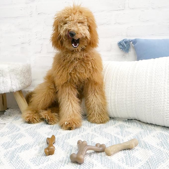 Nylabone Gourmet Style Femur, & Stick Strong Chew Toy - Image 2