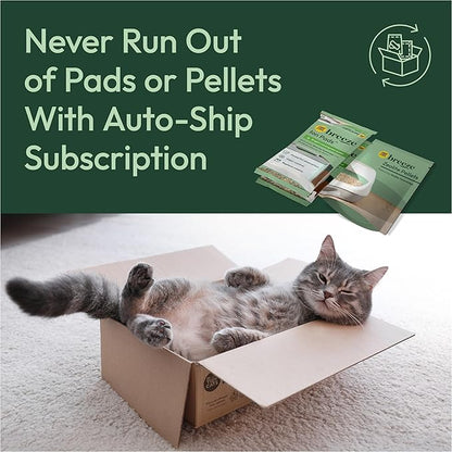 Purina Tidy Cats Breeze Litter System Cat Refill Bundle - Image 12