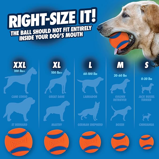Chuckit! Ultra Ball Dog Toy - Image 5