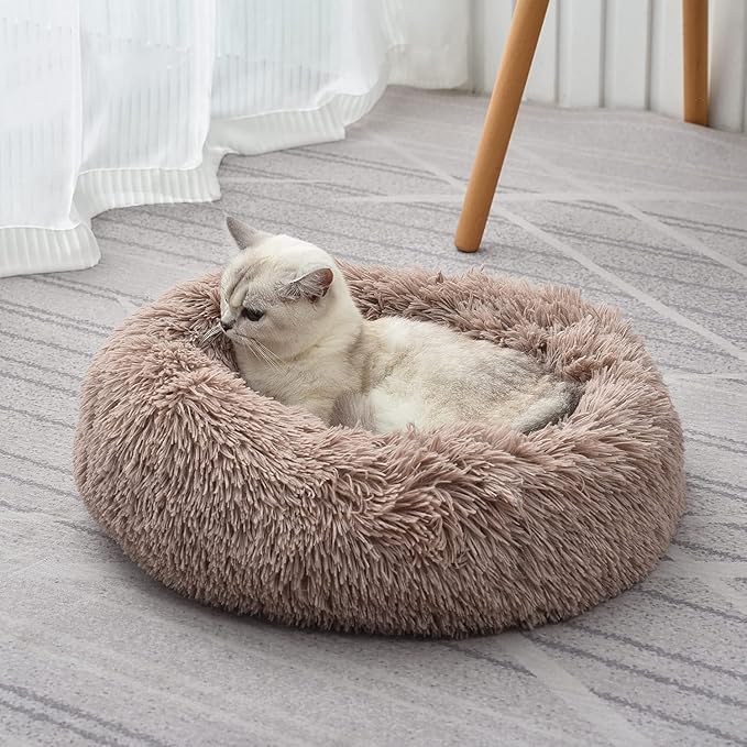 Cat Beds for Indoor Cats by Unknown