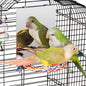 Colorday 7" Bird Mirror with Rope Perch, Bird Swing, Parrot Cage Toys by Colorday