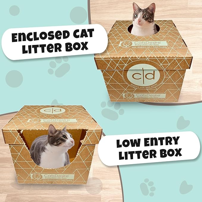Disposable Litter Boxes for Cats Sampler Both Our Patented Products Woman Owned - Image 5