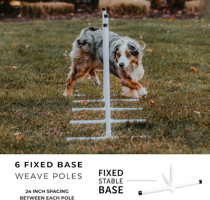 Better Sporting Dogs Complete Starter Agility Set - Image 5
