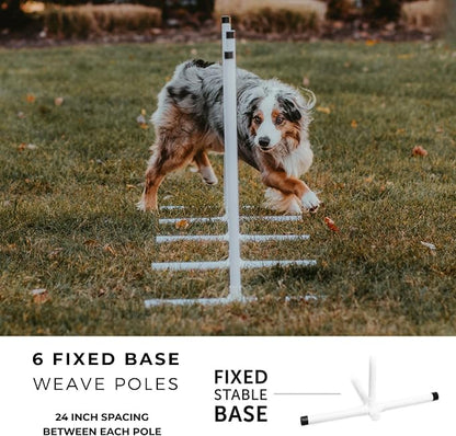 Better Sporting Dogs Agility Course Backyard Set - Image 6