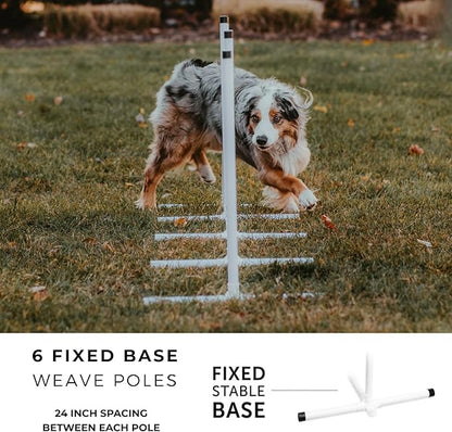 Better Sporting Dogs Premium Starter Dog Agility Set w/Safety-Focused Features - Image 6