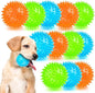 Puppy Toy 2.5” Squeaky Dog Balls Toys and Spikey Dog Ball by PUPTILYSTROE