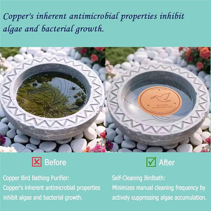 1Pack Bird Bath Copper Purification Disk | 0.6mm Reinforced 99.9% Pure Copper | - Image 4