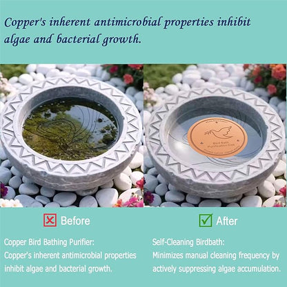 3Pack Bird Bath Copper Purification Disk | 0.6mm Reinforced 99.9% Pure Copper | - Image 4