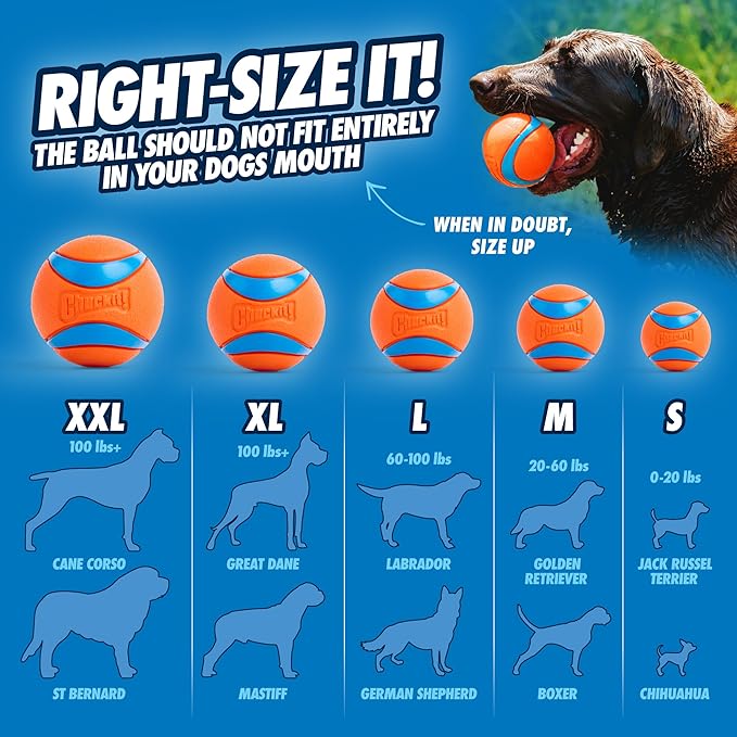 Chuckit! Ultra Ball Dog Toy - Image 3