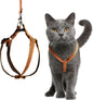 Filbert Cat Harness and Leash Set by Filbert