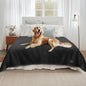 Luciphia Waterproof Pet Blanket, Liquid Pee Proof Dog Blanket by luciphia