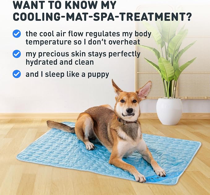INSPECTOR TAIL Self Cooling & Traveling Mat + Free String Bag Pack/Washable & - Image 9