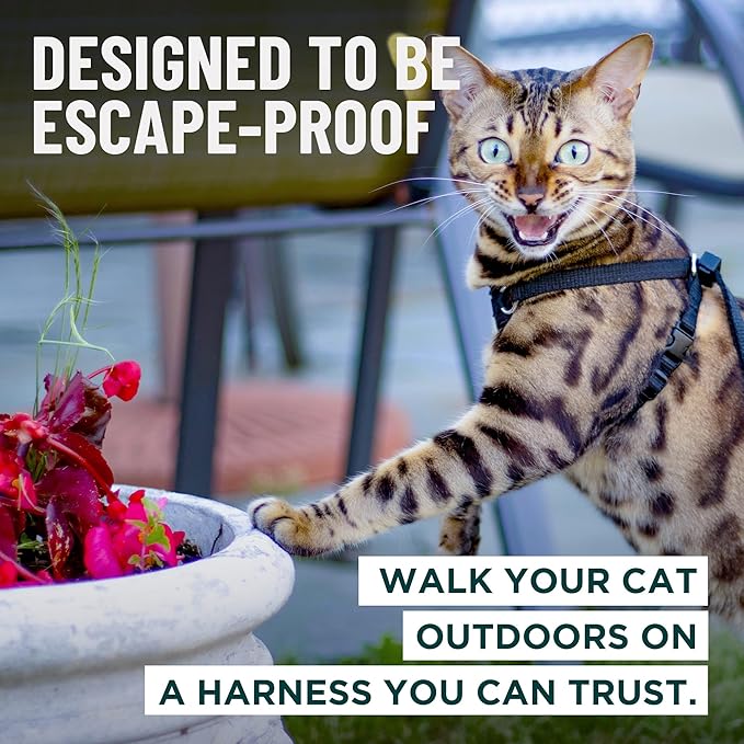 Houdini™ Escape Proof Kitten Harness and Leash Set by OutdoorBengal – Red - Image 2